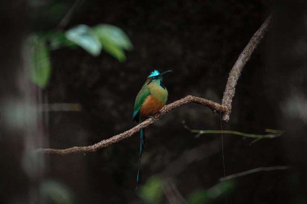 Quelles sont les clés de la réussite dans un duel de performance ?